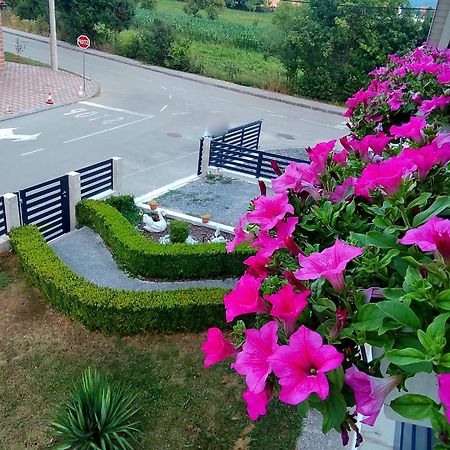 Apartman Swans โอโทชาส ภายนอก รูปภาพ