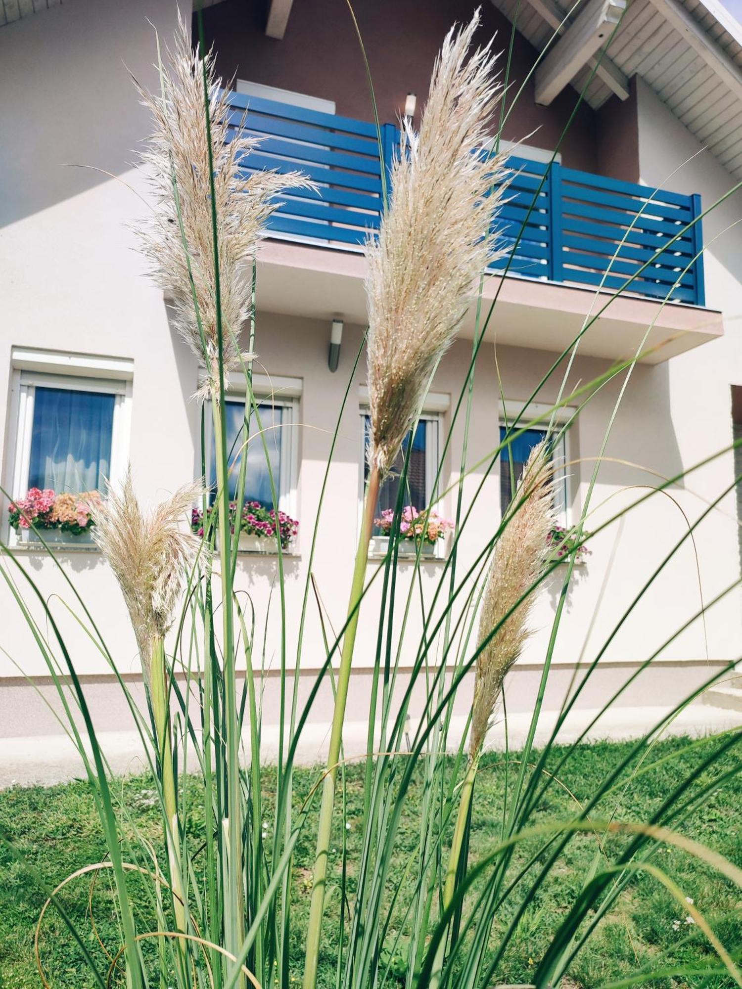 Apartman Swans โอโทชาส ภายนอก รูปภาพ