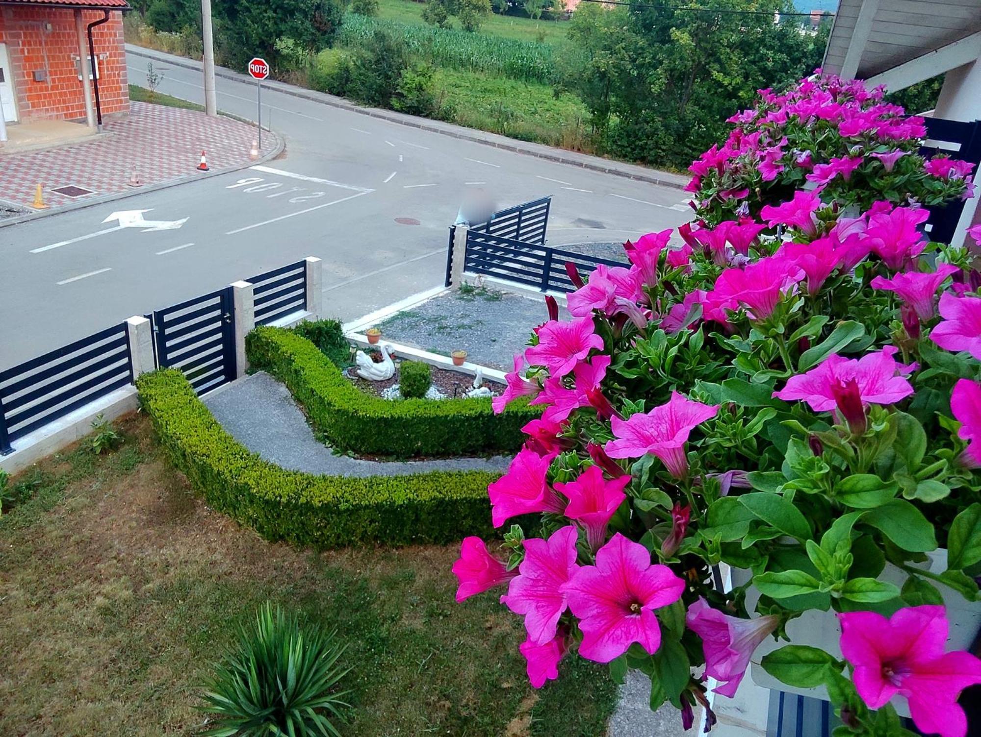 Apartman Swans โอโทชาส ภายนอก รูปภาพ